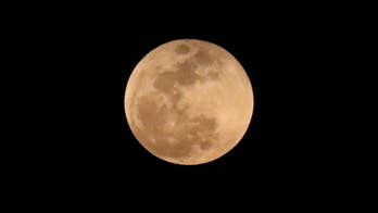 Water may be all over the Moon, giving new hope for sustained life