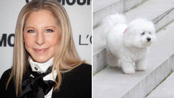 Barbra Streisand flew her dogs 10,000 miles to watch her perform in London