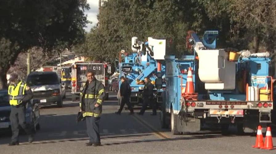 California tree trimmer dies after being electrocuted