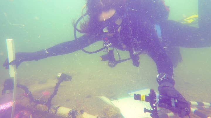 Ancient Native American burial spot found off Florida coast
