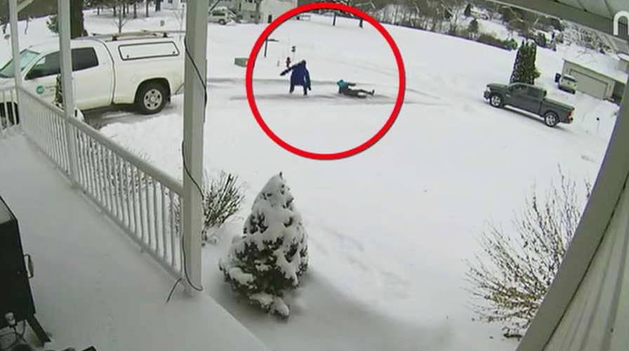 Best videos on customers' Nest cameras