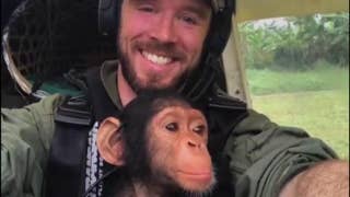 Anti-poaching pilot flies baby chimpanzee to safety - Fox News