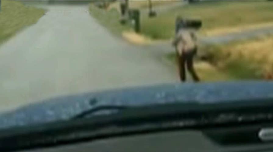 After the Show Show: Dad makes son run in the rain