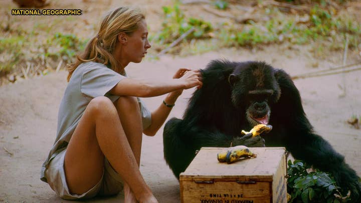 Jane Goodall was hesitant to take part in new documentary