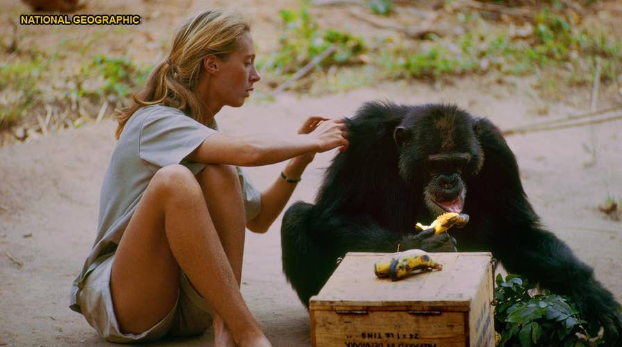 Jane Goodall was hesitant to take part in new documentary