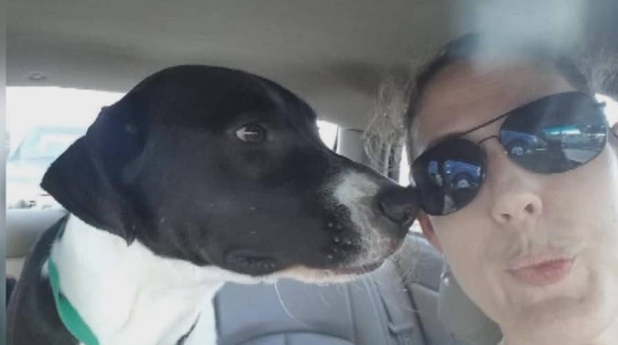 Rescue dog saves family from massive house fire