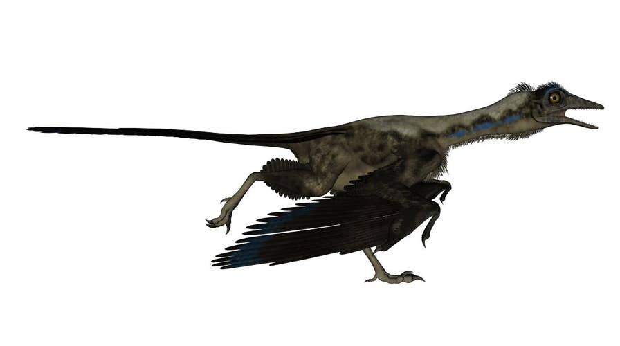 This Jurassic-era dinosaur could probably fly