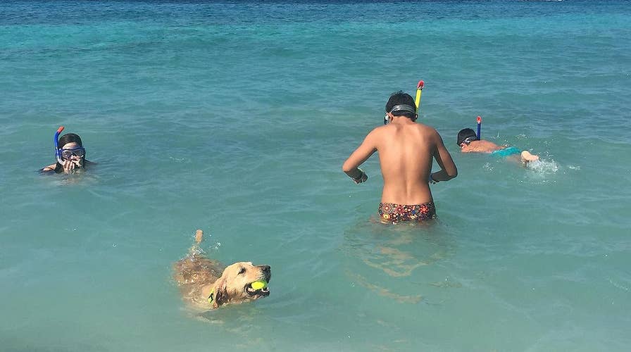 How did Cancun become Mexico's murder capital?