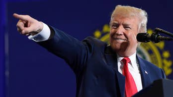 Trump promotes comments from Harvard prof who says Mueller never should have been appointed