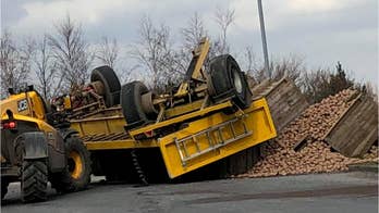 Potato truck topples in traffic circle