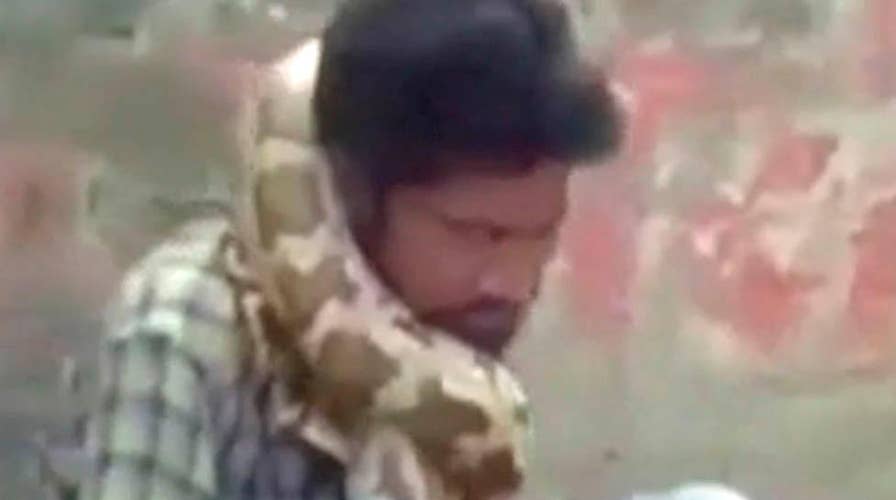 WILD video: Snake charmer strangled by python