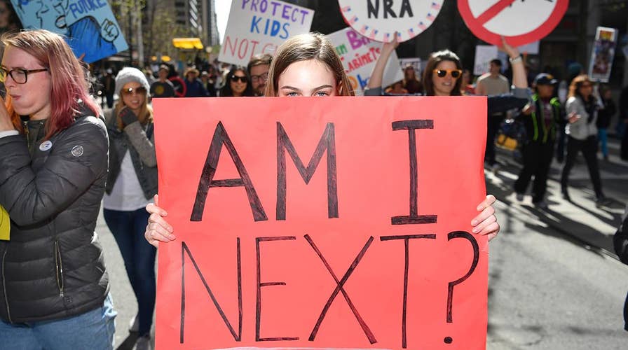 How gun control push will impact the midterm elections