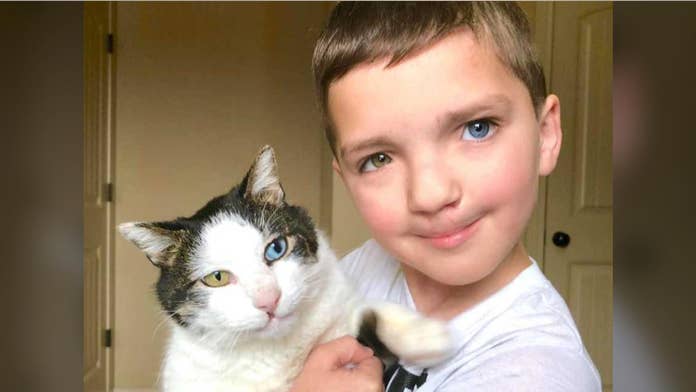 Bullied Oklahoma Boy 7 Adopts Rescue Cat With Same Rare Eye