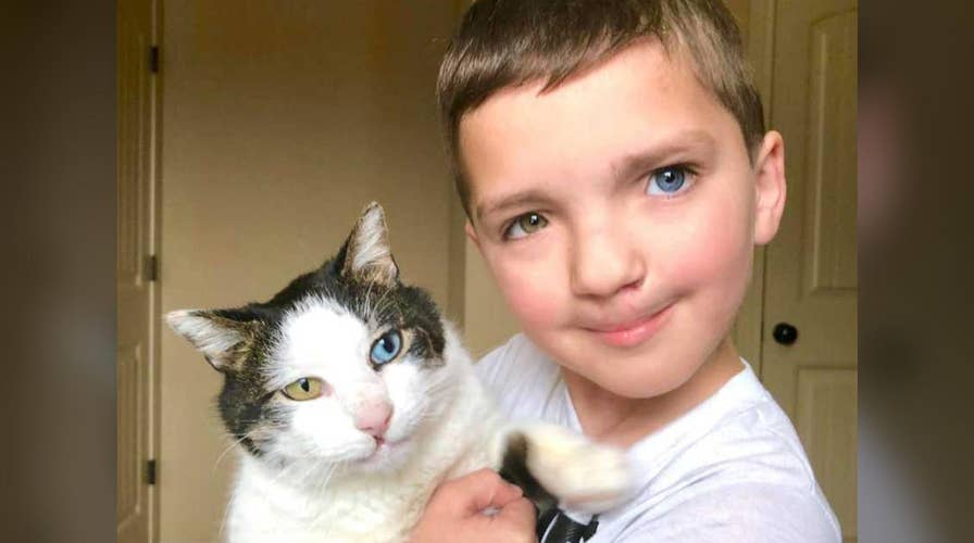 Boy finds rescue cat with same rare condition