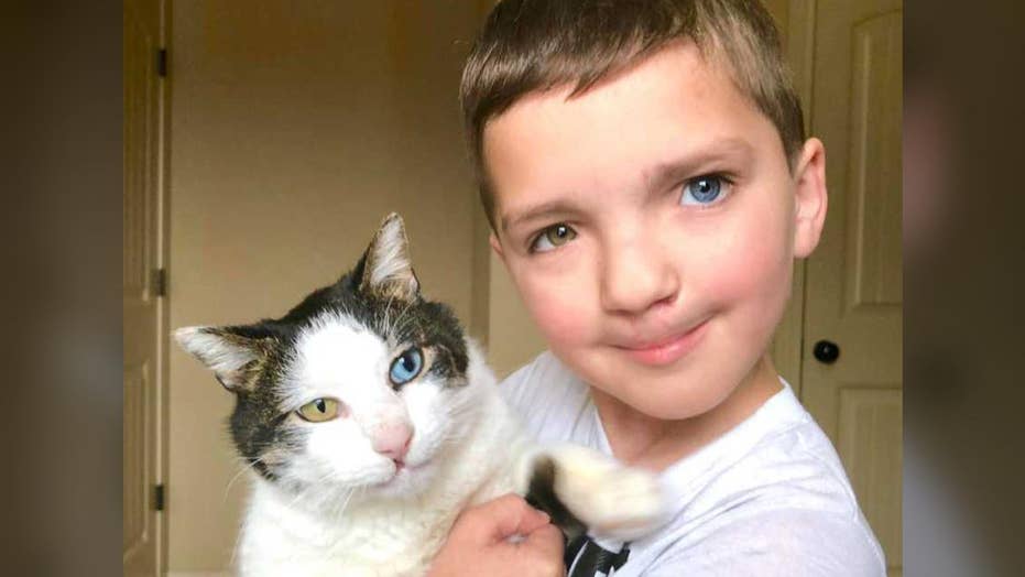 Bullied Oklahoma Boy 7 Adopts Rescue Cat With Same Rare Eye