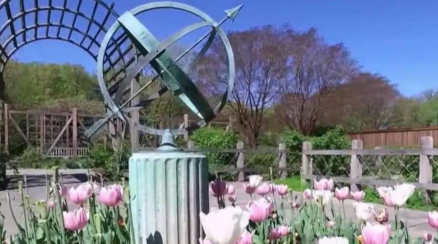 Shining a spotlight on a hidden D.C. gem