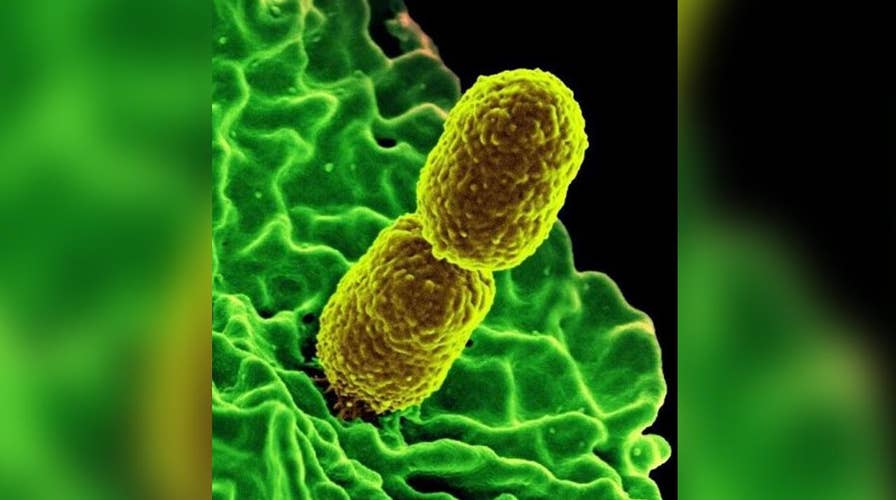 'Nightmare bacteria' cases seen in 27 states, CDC reports