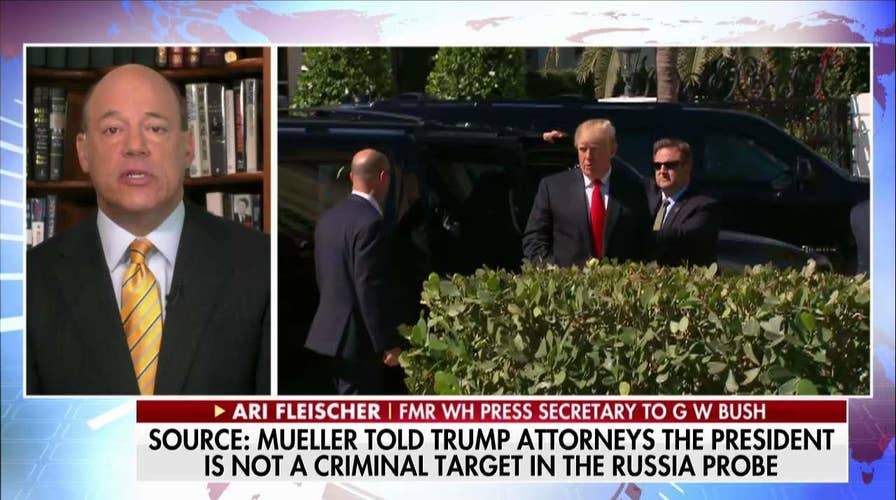 Fleischer: 'Throw the Book' at Anyone Who Colluded to Steal Emails