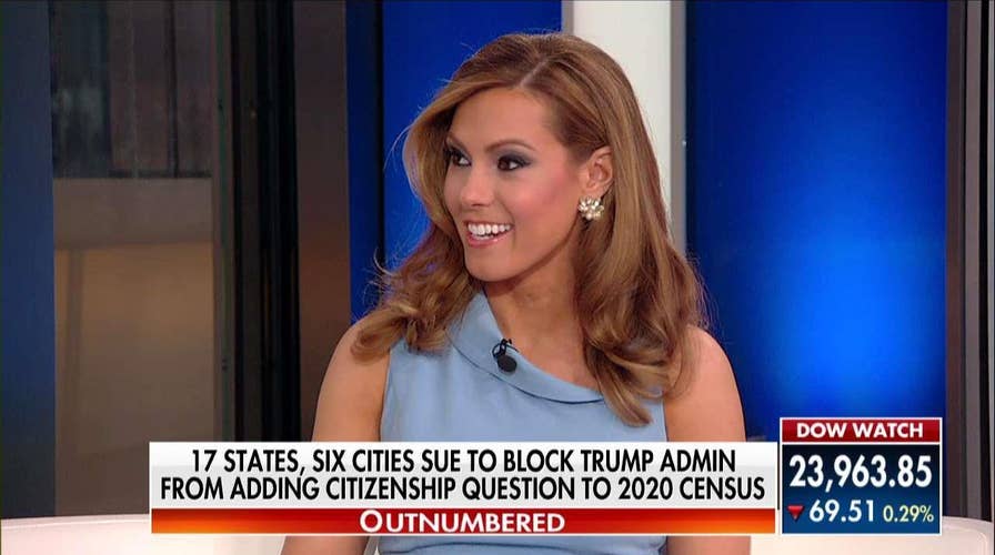 Boothe on 'Uproar' From Left, Media About Citizenship Question