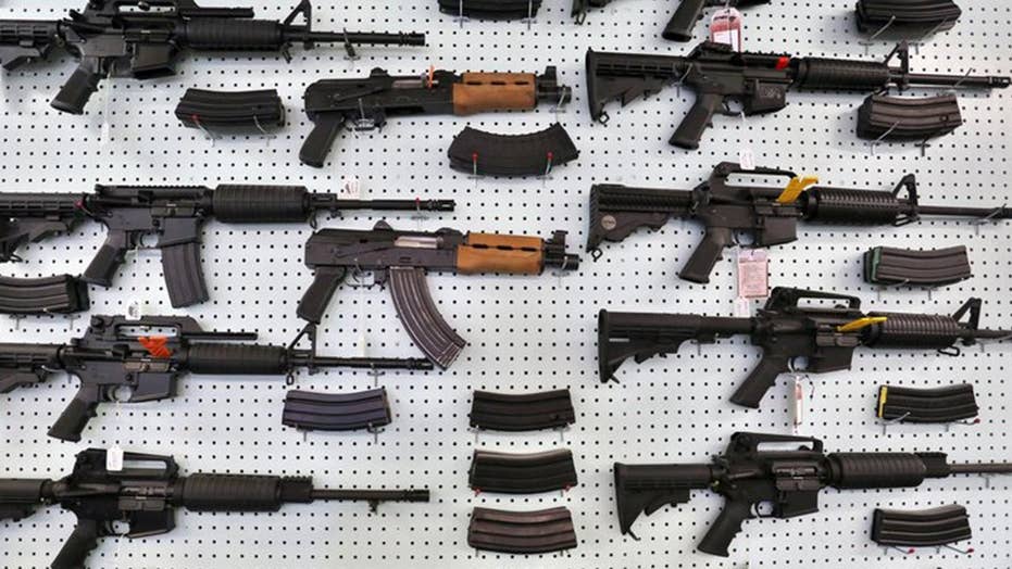 Red Flag Gun Law Should Include Minors Washington State