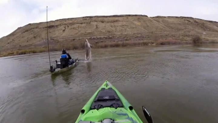Sturgeon nearly sinks kayak on Snake River in Idaho