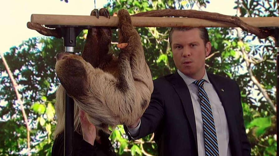 'Fox & Friends' celebrates National Zoo Lovers Day