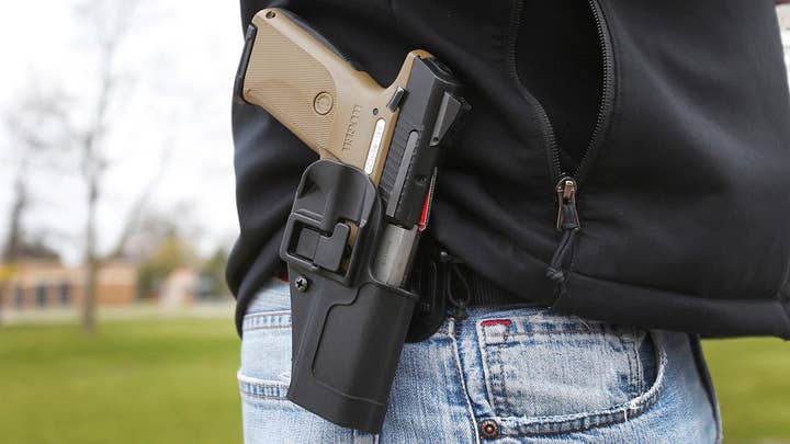 Michigan Supreme Court to hear case on guns in schools