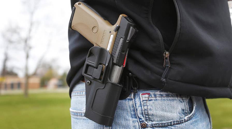 Michigan Supreme Court to hear case on guns in schools