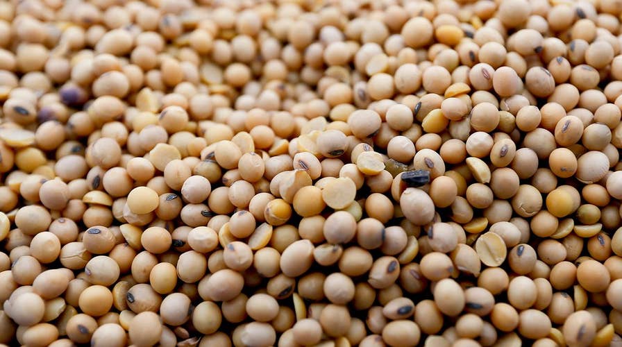 How would a trade war with China impact US soybean farmers?