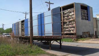 Trailer filled with nearly 3,000 dead chickens abandoned in Arkansas neighborhood