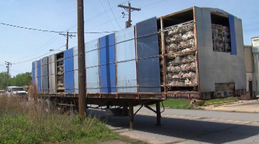 Trailer full of dead chickens left in Arkansas neighborhood