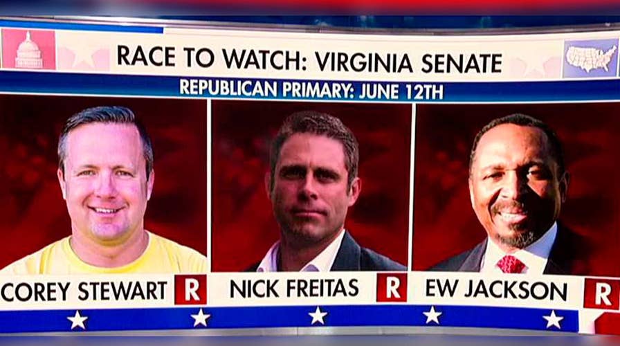 3 Republican candidates vying for Virginia Senate nomination