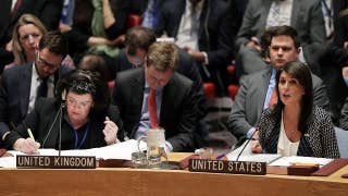 Russia fails in UN bid to condemn US-led strikes on Syria - Fox News