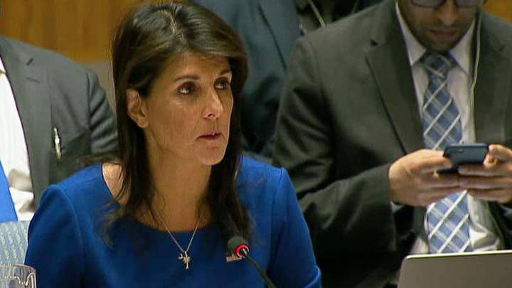Haley on Syria strike: We gave diplomacy chance after chance