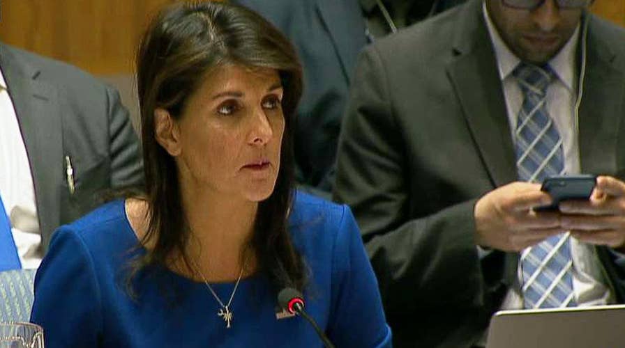 Haley on Syria strike: We gave diplomacy chance after chance