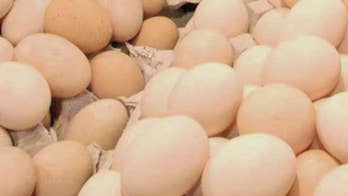 North Carolina farm linked to massive egg recall, salmonella outbreak had 'ongoing rodent infestation,' report says