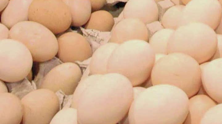 206 million eggs recalled over salmonella fears