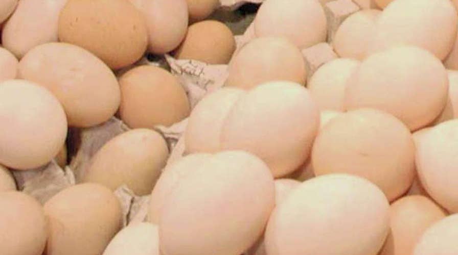 206 million eggs recalled over salmonella fears