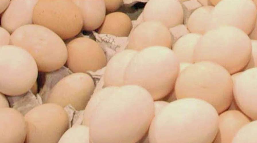 206 million eggs recalled over salmonella fears