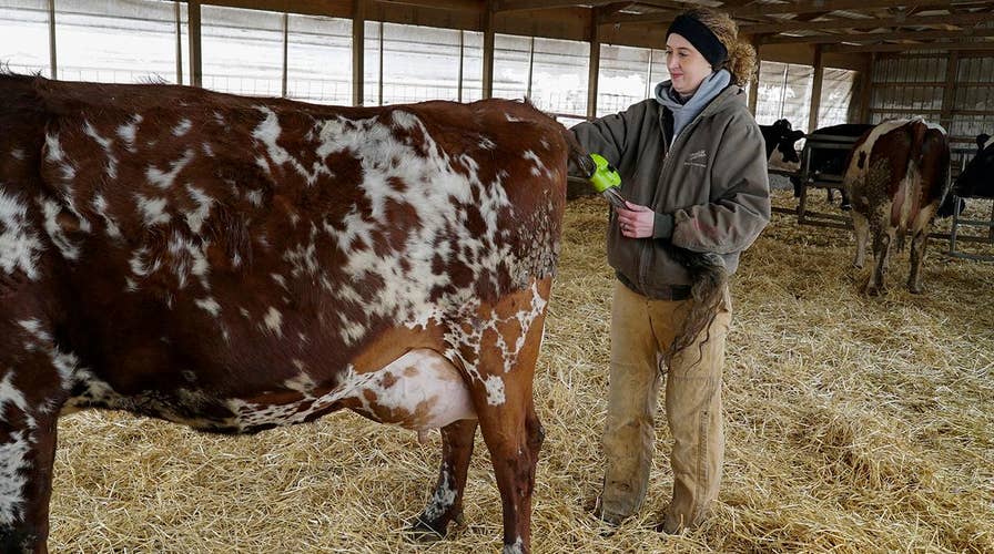 American farmers wary of Trump trade policies