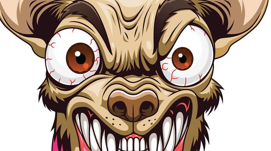 Homeopath gives rabid-dog saliva to growling 4-yr-old