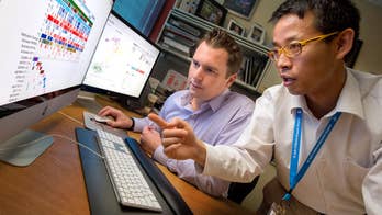 Why the next generation of cancer researchers need support if they are to find a cure