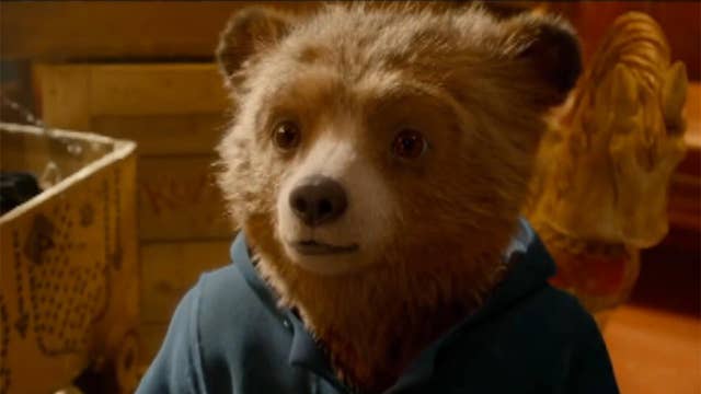 Bring 'Paddington' home