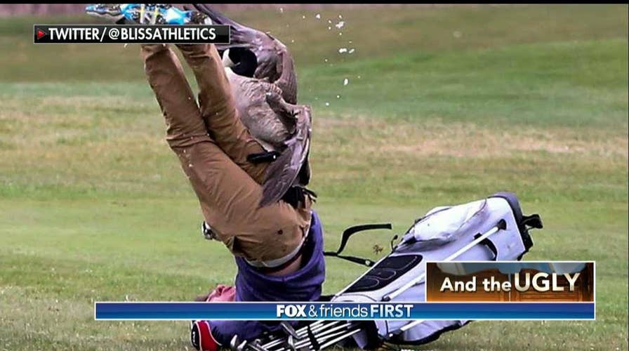 Goose attacks high school golfer.