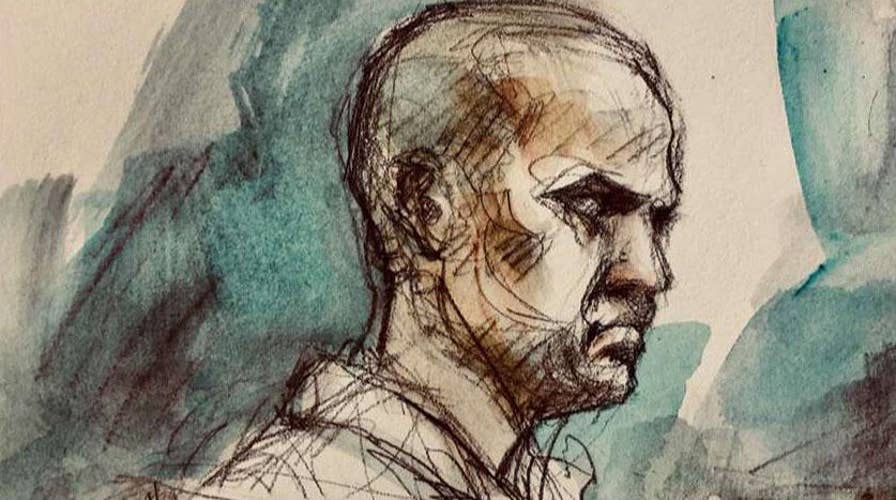 Toronto van attack suspect appears in court