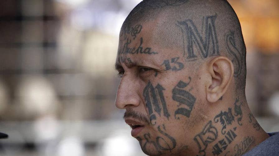 LI top cop: We will not be intimidated by MS-13