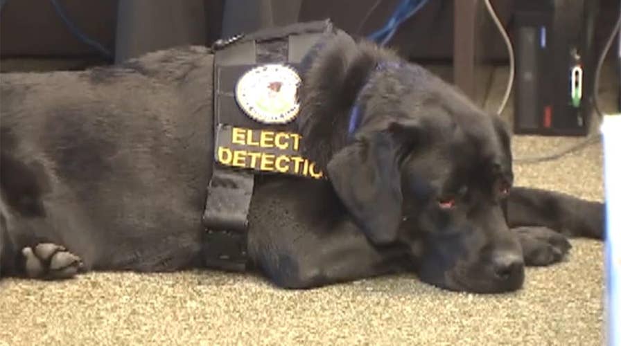 New crime fighting tool to help detect hidden kiddie porn