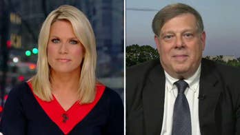 Former Clinton adviser slams collusion investigation