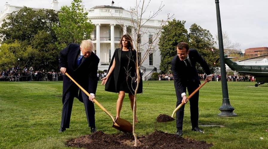 Mystery over Macron's missing White House gift tree solved
