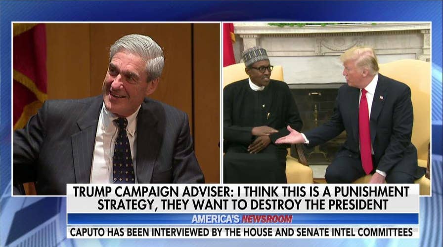 Hilton: Mueller Probe Has Turned Into 'Political Counterrevolution' Against Trump Presidency